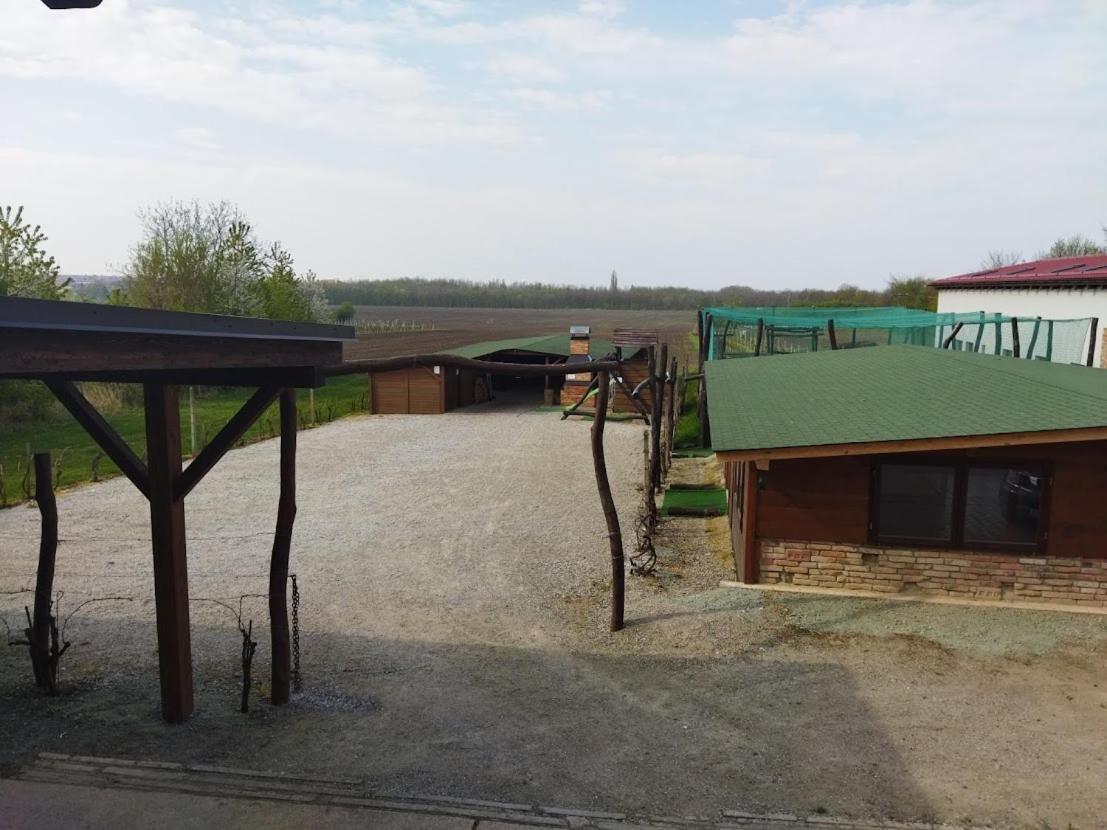 Vinny Sklep A Penzion U Vinohradu Velké Bílovice Exterior foto